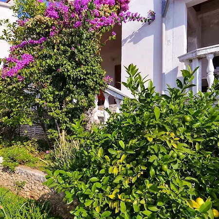 Near In 44660 Apartment Rabac